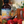 Load image into Gallery viewer, 420mg THC Syrups