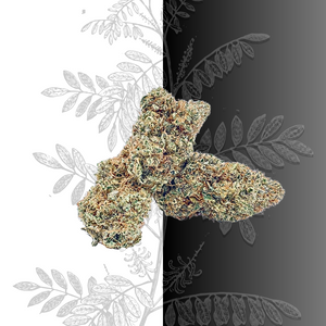 CBD Flower