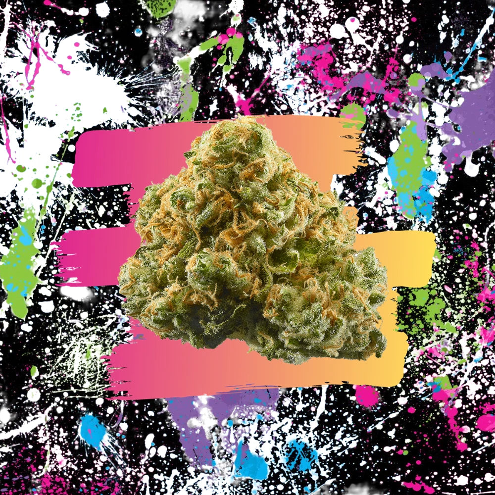 Indoor CBD Flower Shop Quality Strains