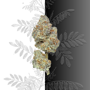 Premium Indoor CBD Flower - Wholesale