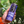 Load image into Gallery viewer, Black Cherry 24PK (Indigo Tribe Exclusive)
