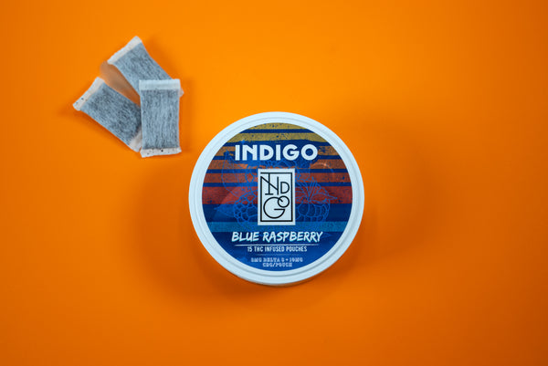 Indi Pouch