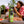 Load image into Gallery viewer, Magic Melon Seltzer • 30MG THC
