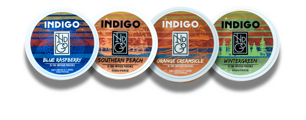 Indi Pouch