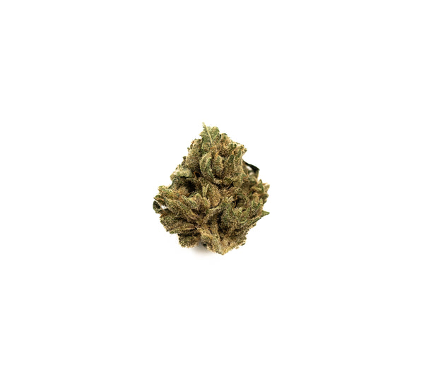 Orange Glaze Indoor CBD Flower